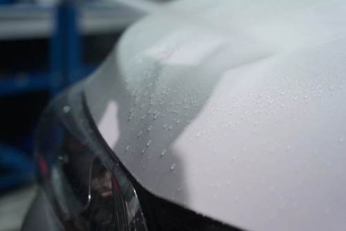 772252-MLU84362216194_052025